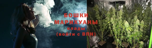 бошки Алексин