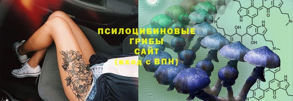бошки Алексин