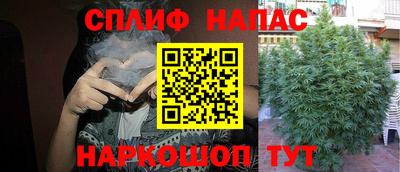прущие крисы Кандалакша