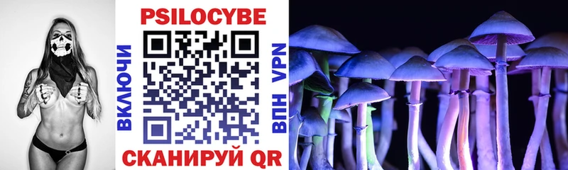 Галлюциногенные грибы мицелий  Сухой Лог 