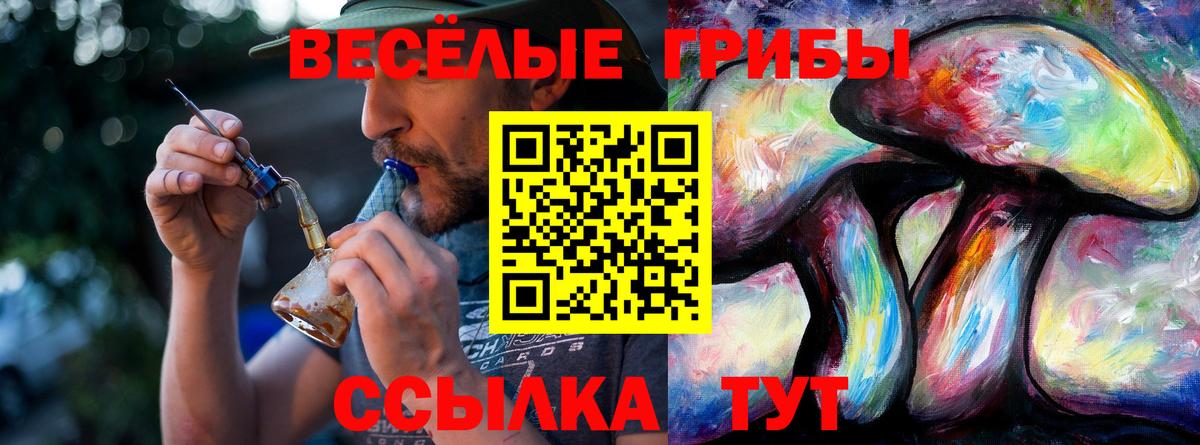 Галлюциногенные грибы MAGIC MUSHROOMS Сухой Лог