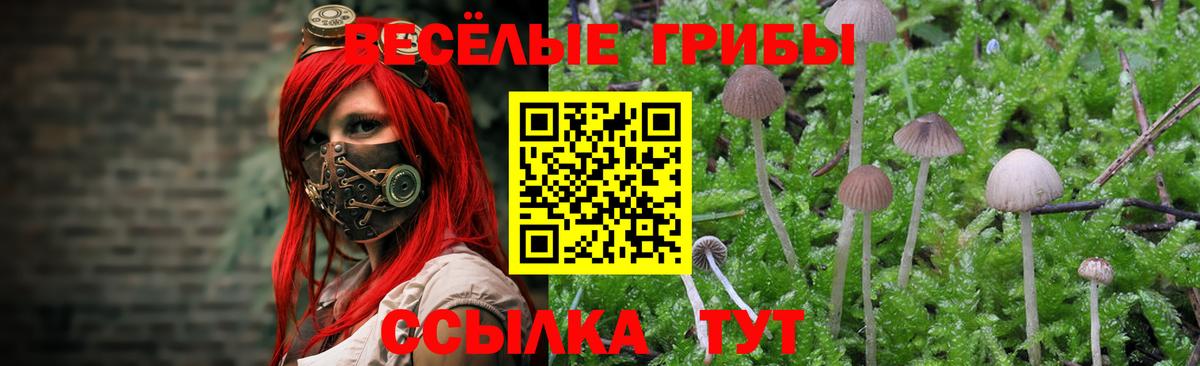 Галлюциногенные грибы Magic Shrooms  Вход с VPN  Сухой Лог  Псилоцибиновые грибы Cubensis 
